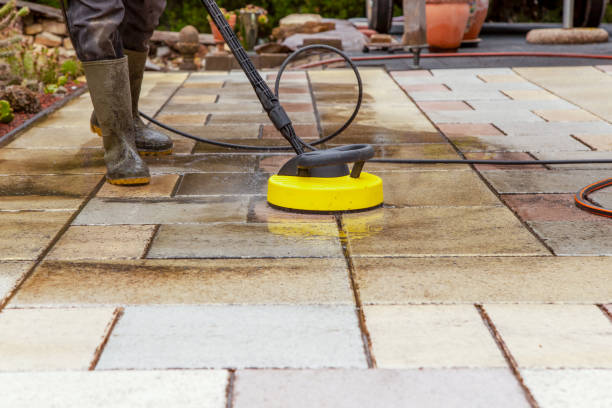 Best Animal Enclosure Cleaning  in Huber Ridge, OH